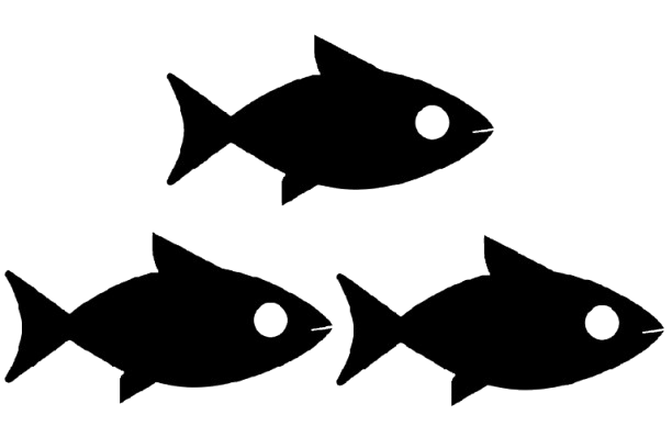 Minguante - Ótima Ótima